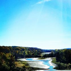 Scenic view of trees against clear blue sky