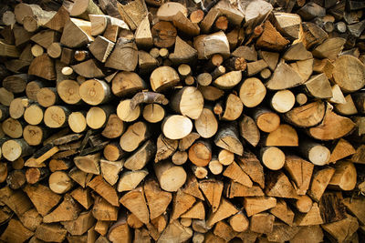 Full frame shot of logs in forest