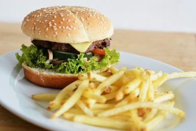 Burger with french fries on plate