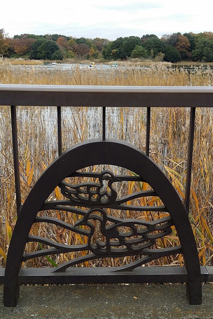 railing, no people, outdoors, day, sky, wrought iron, water