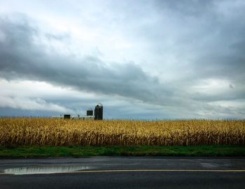 Road by agricultural field against sky