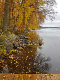 View of autumnal trees by lake