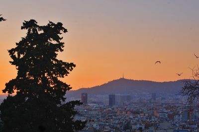 Silhouette tree and buildings against sky during sunset