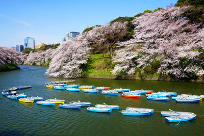 Boats in water against clear sky