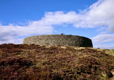 Plants on rocks on field against sky