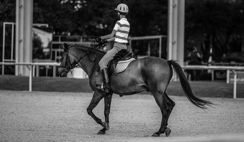 Man riding horse