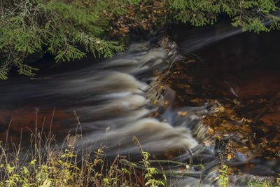 Stream flowing through rocks in forest