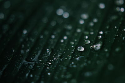 Close-up of water drops on glass