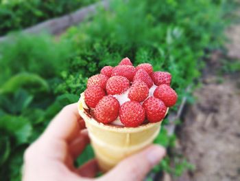 Close-up of hand holding strawberry