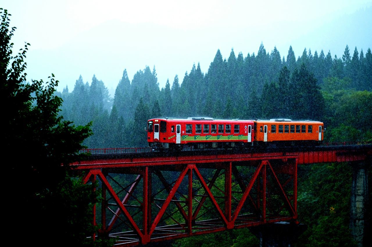 transportation, tree, bridge - man made structure, mode of transport, rail transportation, train - vehicle, nature, forest, red, no people, public transportation, outdoors, growth, railroad track, day, fog, built structure, architecture, sky, steam train, locomotive