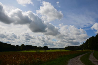 Scenic view of agricultural field against sky