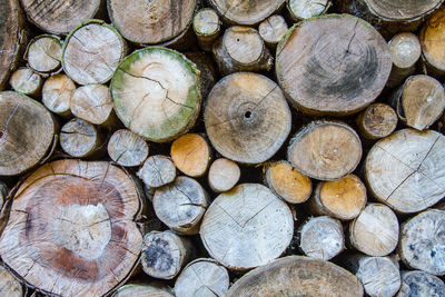 Full frame shot of logs in forest