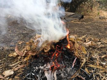 Close-up of bonfire