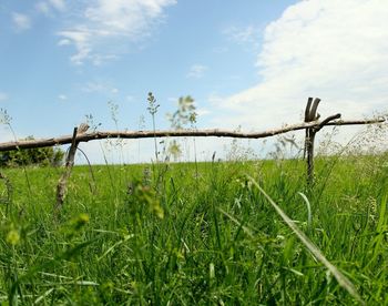 Scenic view of grassy field against cloudy sky