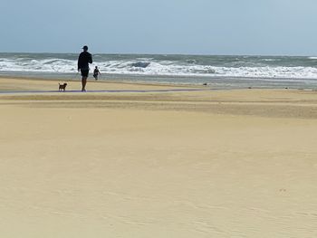 Rear view of man on beach against sky