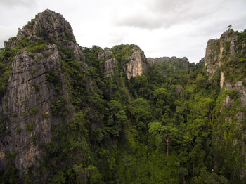 Scenic view of forest against sky