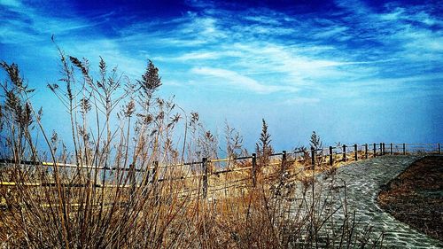 Clouds in blue sky