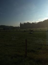 Scenic view of field against sky