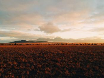 Scenic view of landscape against sky during sunset