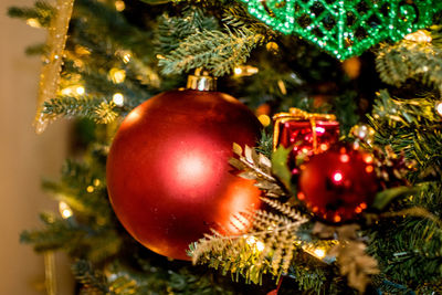 Close-up of christmas tree