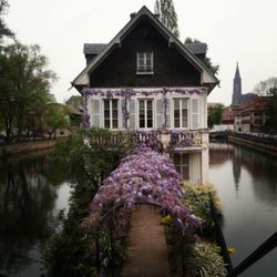 Reflection of built structures in water