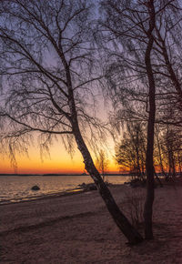Silhouette bare tree by sea against sky during sunset