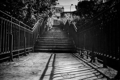 Empty footpath amidst trees