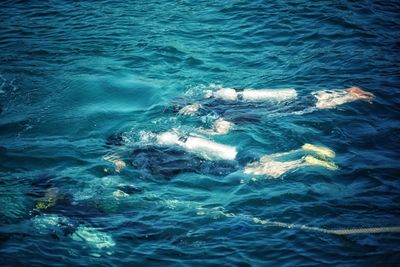 High angle view of friends scuba diving in sea