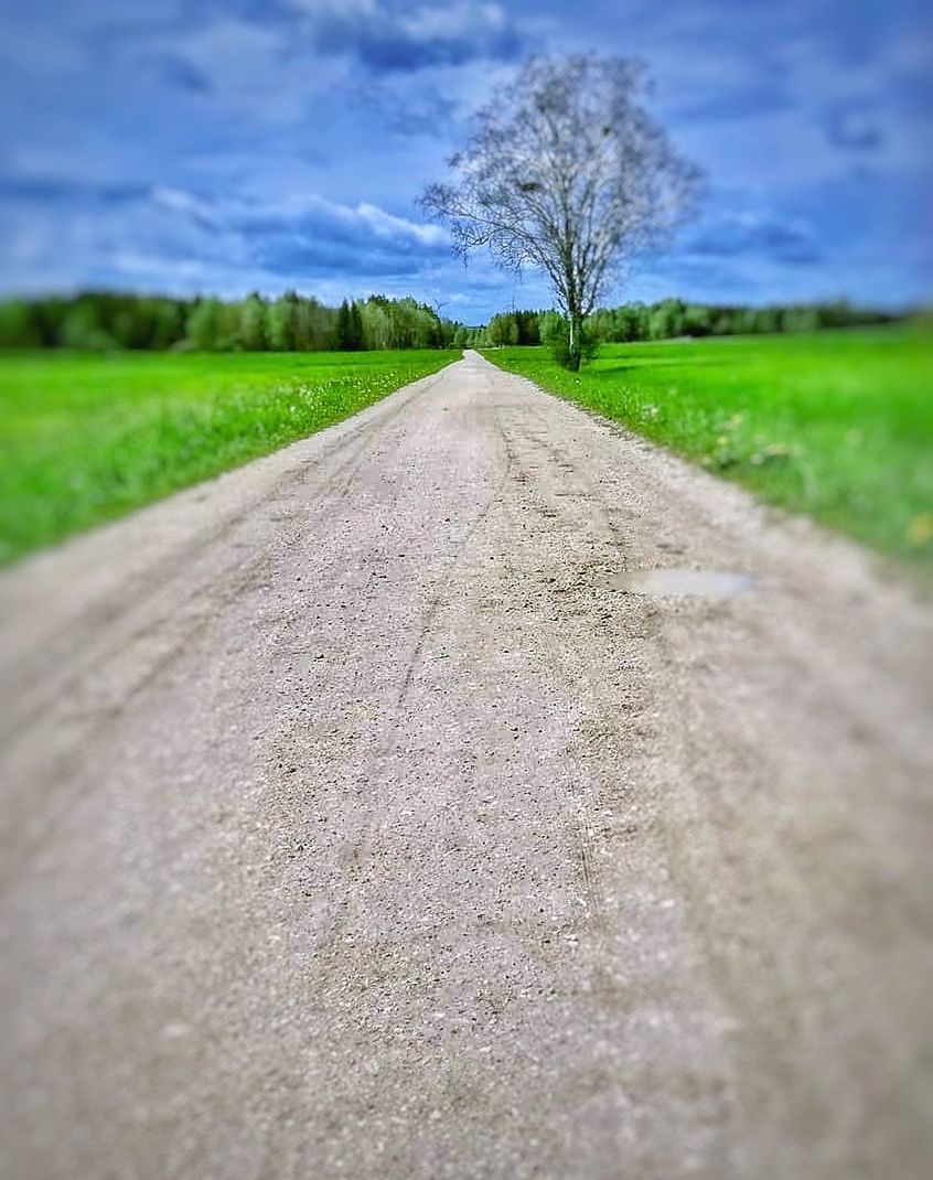 road, sky, landscape, the way forward, plant, diminishing perspective, environment, cloud, nature, rural scene, transportation, grass, land, vanishing point, field, dirt, no people, green, soil, dirt road, scenics - nature, tree, rural area, agriculture, country road, beauty in nature, tranquility, day, outdoors, tranquil scene, footpath, non-urban scene, asphalt, single lane road, horizon, infrastructure, travel, blue, horizon over land, farm