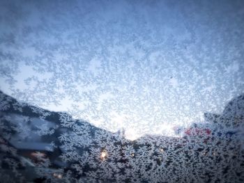 Low angle view of tree against sky during winter