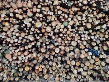 Full frame shot of logs