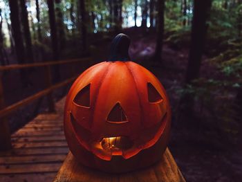 Close-up of heart shape in front of wooden door