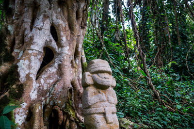 Low angle view of tree