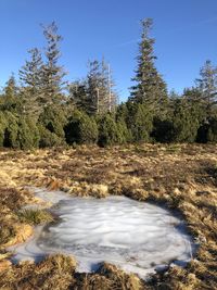 Scenic view of waterfall in forest against sky