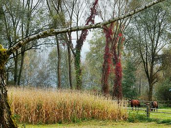 Low section of man on flower trees