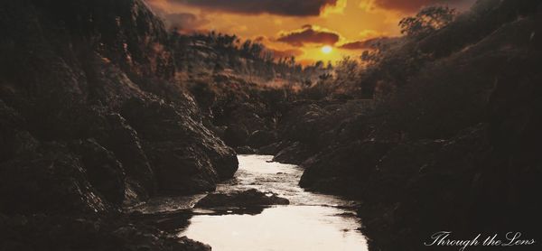 River amidst trees against sky during sunset