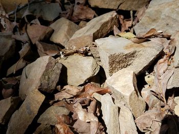 Full frame shot of stone wall