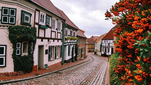 Street amidst buildings against sky during autumn