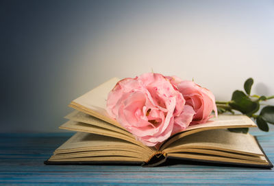 Close-up of pink rose on table