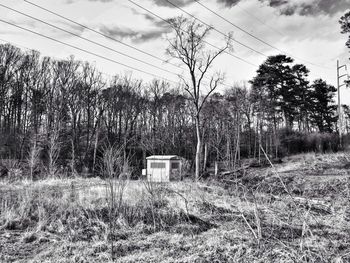Scenic view of grassy field against sky