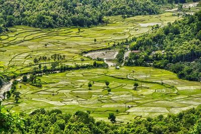 Scenic view of rural landscape