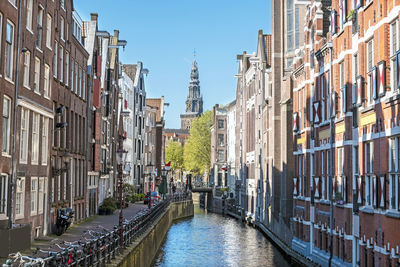 City scenic from amsterdam in spring in the netherlands with the north church 