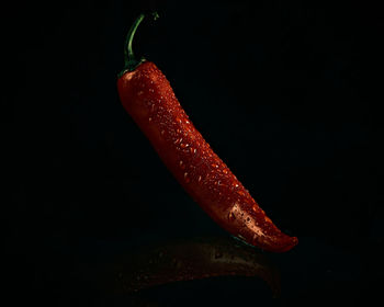 Close-up of red chili pepper against black background