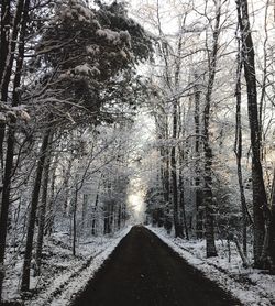 Road amidst bare trees in forest during winter