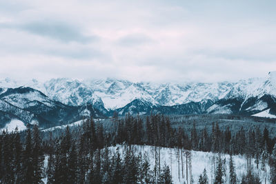 Scenic view of snowcapped mountains against sky