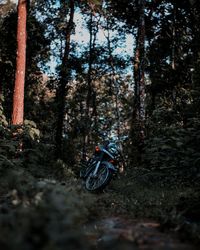 Bicycle amidst trees on field in forest