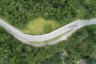 High angle view of road amidst trees in forest