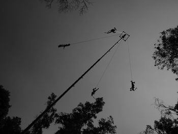 Low angle view of silhouette birds flying against clear sky