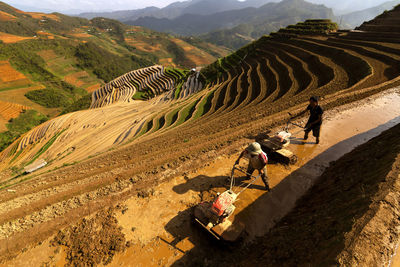 People on agricultural field