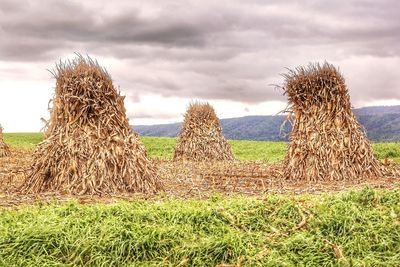 Hay bales on field against sky